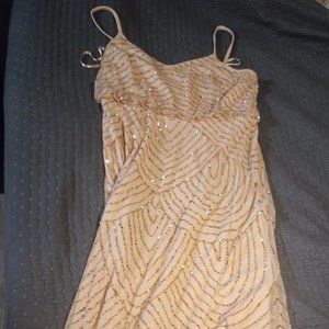 Adrianna Pappell Champaign dress.  Size 14